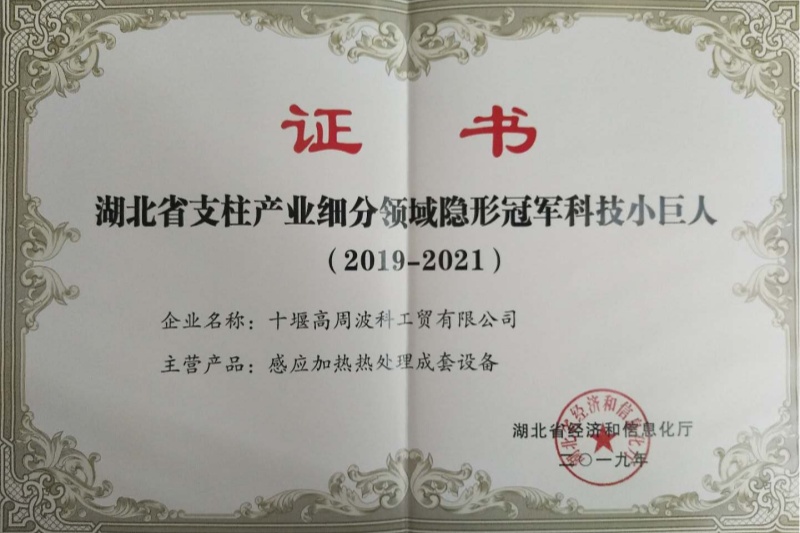 2019年感應加熱熱處理成套設備獲得湖北省支柱產業細分領域隱形冠軍科技小巨人